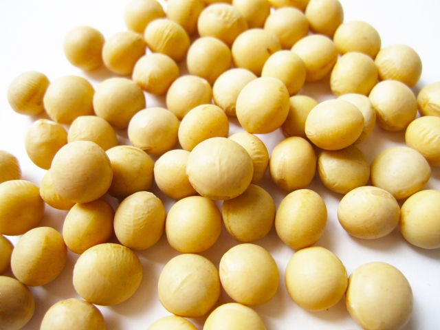 日本で流通する大豆の80%が遺伝子組換えという事実。